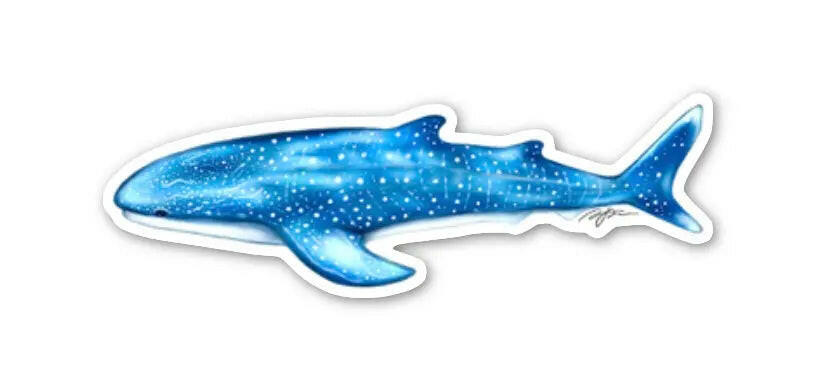 Whaleshark Sticker (4" x 1.3")